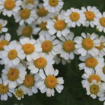 IMG_3639