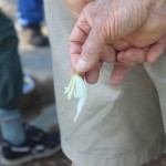 IMG_4912