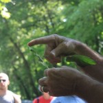 IMG_4935