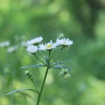 IMG_4945