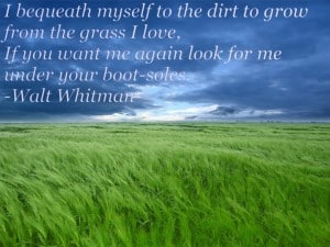 Whitman