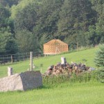 IMG_0305