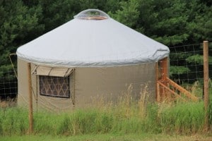 IMG_0364