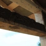 IMG_0459
