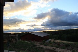 IMG_0463