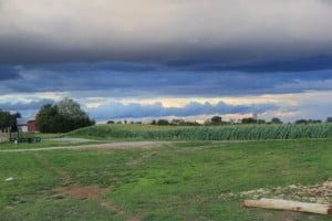IMG_0464