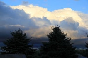 IMG_0465
