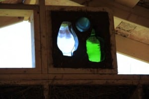 IMG_0470