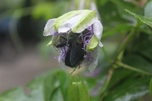 IMG_5071