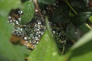 IMG_5075