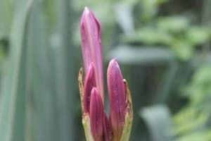 IMG_5076