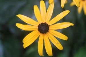 IMG_5081