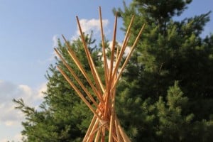 IMG_0575