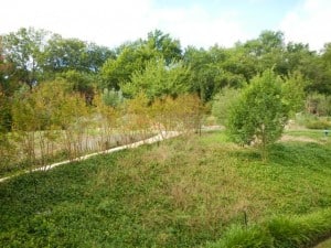 DSCN0410