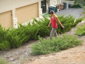 DSCN0414