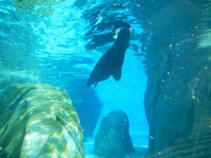 DSCN0447
