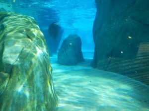 DSCN0449