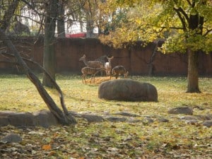 DSCN0462