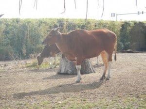 DSCN0478