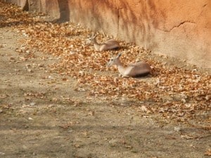 DSCN0482