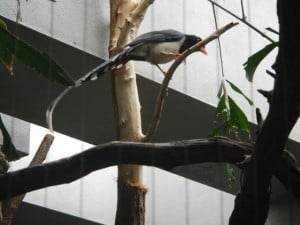 DSCN0497