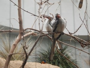 DSCN0500