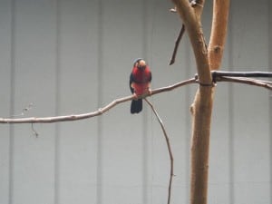 DSCN0502
