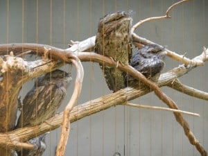 DSCN0504