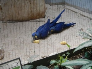 DSCN0505