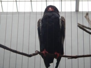 DSCN0506