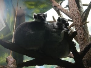 DSCN0512