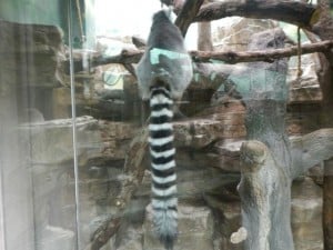 DSCN0522