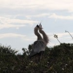 IMG_0669