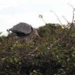 IMG_0670