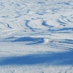 DSCN0606