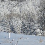 DSCN0608