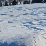 DSCN0609