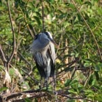IMG_0683