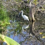 IMG_0684