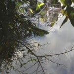 IMG_0687