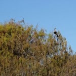 IMG_0706