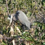 IMG_0709