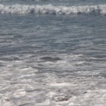 IMG_0713