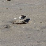 IMG_0720