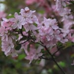 IMG_0747