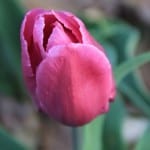 IMG_0752