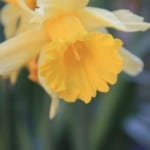 IMG_0754