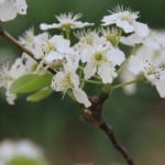 IMG_0758
