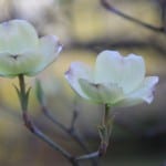 IMG_0759