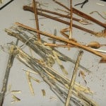 DSCN0697